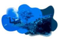 CityTour Santa Marta